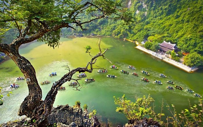 Để Giữ Gìn và Phát Huy Truyền Thống Quê Hương, Cần Lên Án Hành Vi Nào?