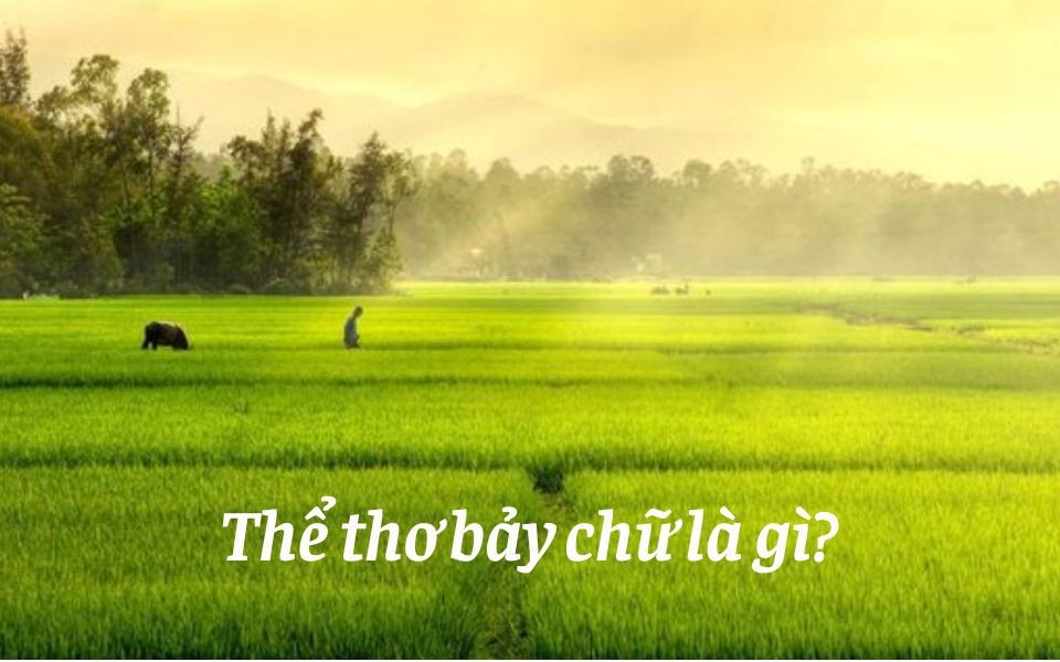 Thể Thơ 7 Chữ 8 Câu Là Gì? Đặc Điểm, Cách Làm, Ví Dụ Thể Thơ 7 Chữ 8 Câu Là Gì? Đặc Điểm, Cách Làm, Ví Dụ