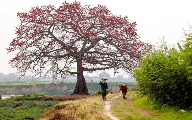Thơ về thiên nhiên