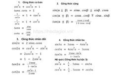 **Giới Khởi Sinh Là Gì? Đặc Điểm và Phân Loại Chi Tiết Nhất**