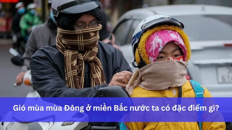 **Gió Mùa Đông Bắc: Thời Gian Hoạt Động, Đặc Điểm và Ảnh Hưởng?**