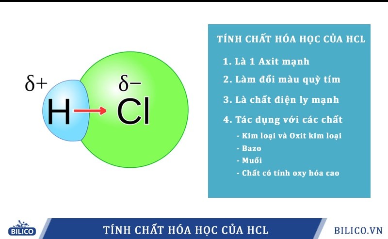 Kim Loại Tác Dụng HCl: Phản Ứng, Điều Kiện và Bài Tập Chi Tiết Kim Loại Tác Dụng HCl: Phản Ứng, Điều Kiện và Bài Tập Chi Tiết