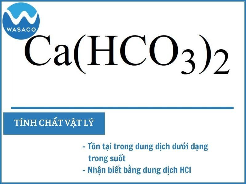 Ca(HCO3)2 Là Muối Gì? Giải Đáp Chi Tiết Nhất 2025 Ca(HCO3)2 Là Muối Gì? Giải Đáp Chi Tiết Nhất 2025