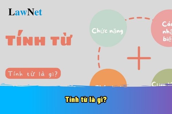 Tính Từ Là Gì? Tác Dụng, Ví Dụ và Bài Tập Tiếng Việt Lớp 4 Tính Từ Là Gì? Tác Dụng, Ví Dụ và Bài Tập Tiếng Việt Lớp 4