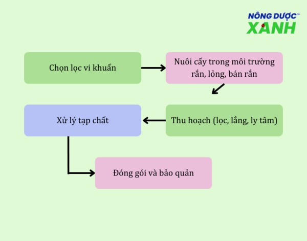 CO₂ Là Gì? Cách Viết Đúng Chuẩn CO2 và Tối Ưu SEO