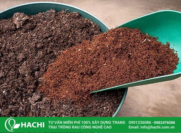 Tại Sao Trái Đất Có Từ Trường: Giải Thích Chi Tiết Nhất 2024