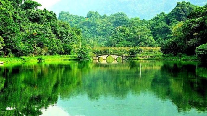 Để Giữ Gìn và Phát Huy Truyền Thống Quê Hương, Cần Lên Án Hành Vi Nào?