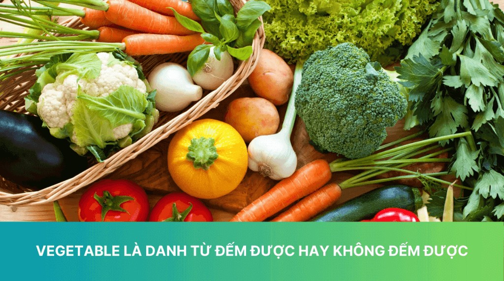 Vegetable Có Đếm Được Không? Giải Đáp Từ A Đến Z Cho Người Việt Vegetable Có Đếm Được Không? Giải Đáp Từ A Đến Z Cho Người Việt