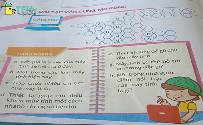 Vì Sao Diện Tích Rừng Nước Ta Suy Giảm Nhanh Chóng?