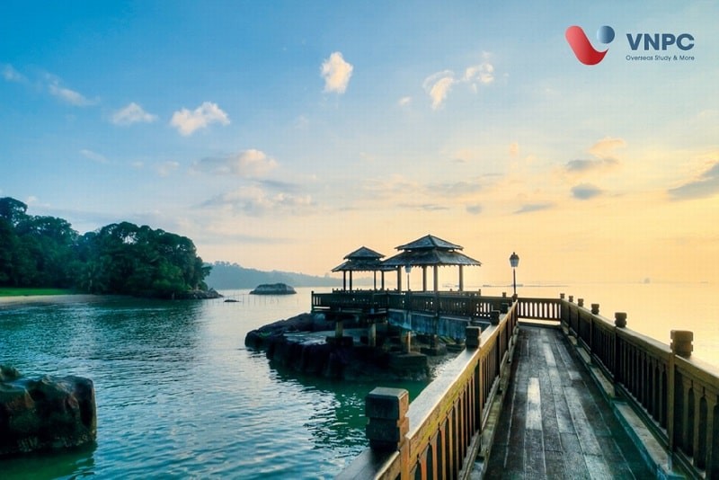 Lực Kéo Về Trong Dao Động Điều Hòa Là Gì Và Công Thức?
