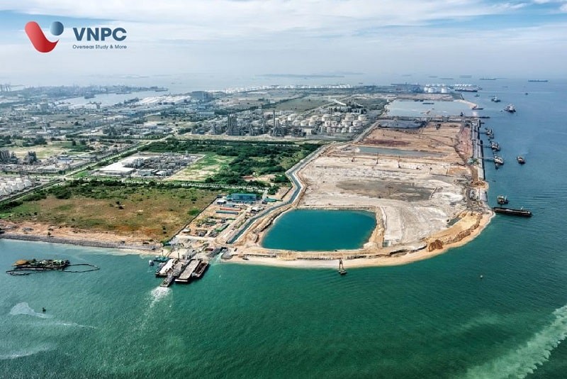 Lực Kéo Về Trong Dao Động Điều Hòa Là Gì Và Công Thức?
