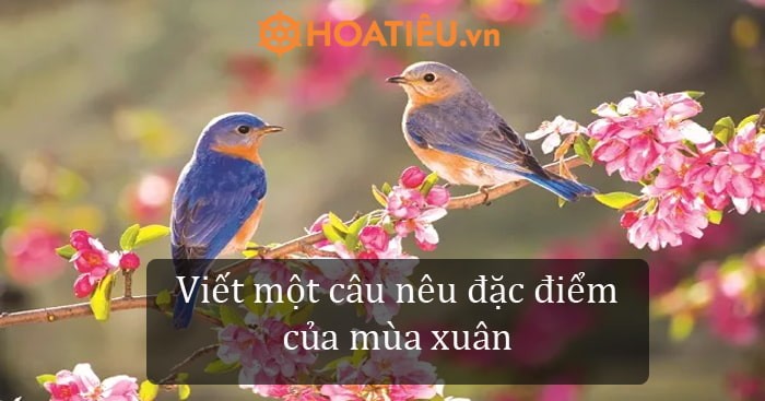 Câu Nêu Đặc Điểm Mùa Xuân Hay Nhất: Trọn Bộ Gợi Ý Chọn Lọc Câu Nêu Đặc Điểm Mùa Xuân Hay Nhất: Trọn Bộ Gợi Ý Chọn Lọc