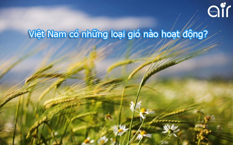 Cơ Cấu Tay Quay Thanh Lắc Thuộc Cơ Cấu Gì? Ứng Dụng Chi Tiết