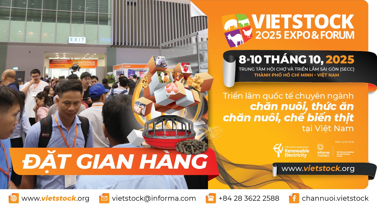 Phát Biểu Quy Tắc Nắm Bàn Tay Phải (Quy Tắc Bàn Tay Phải) Như Thế Nào?