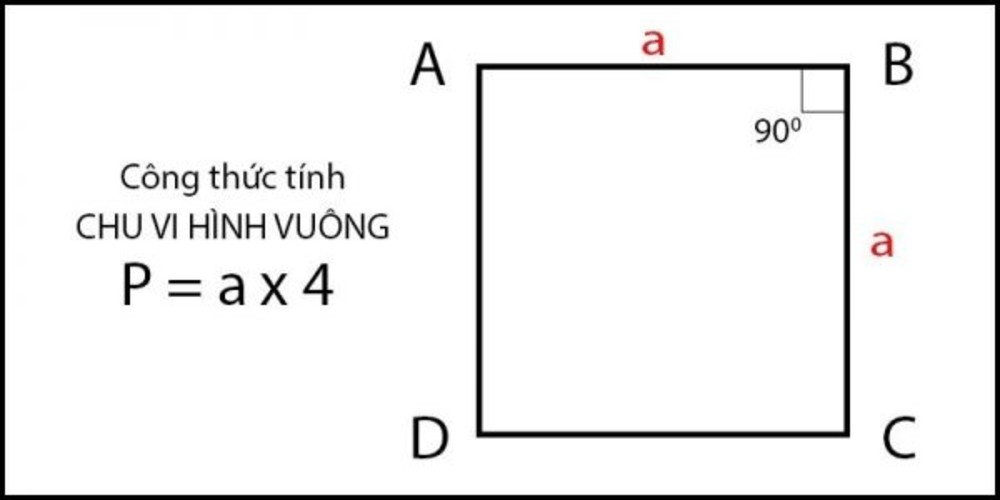Cách tính diện tích hình vuông khi biết chu vi