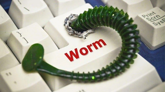 Worm Máy Tính Là Gì? Cách Phòng Tránh Sâu Máy Tính Hiệu Quả Worm Máy Tính Là Gì? Cách Phòng Tránh Sâu Máy Tính Hiệu Quả