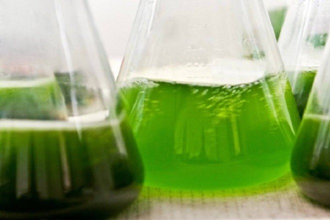 Xăng E5 thân thiện với môi trường