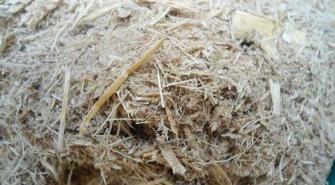 Cao Su Buna Có Công Thức Cấu Tạo Thu Gọn Là Gì? Ứng Dụng &amp; Điều Chế