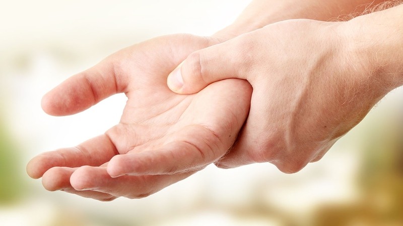 Giới Hạn Sinh Thái Gồm Có Những Yếu Tố Nào? Giải Đáp Chi Tiết