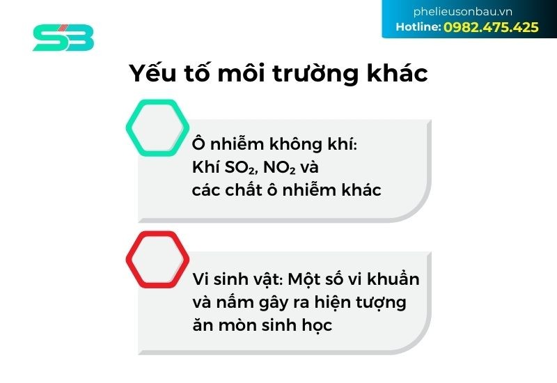 Kim loại bị oxi hóa bởi các yếu tố môi trường khác