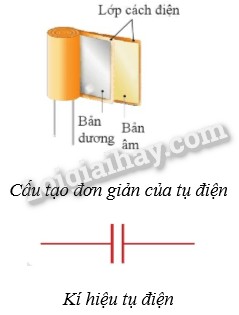 Thế Nào Là Câu Chỉ Đặc Điểm? Cách Phân Biệt Với Các Loại Câu Khác