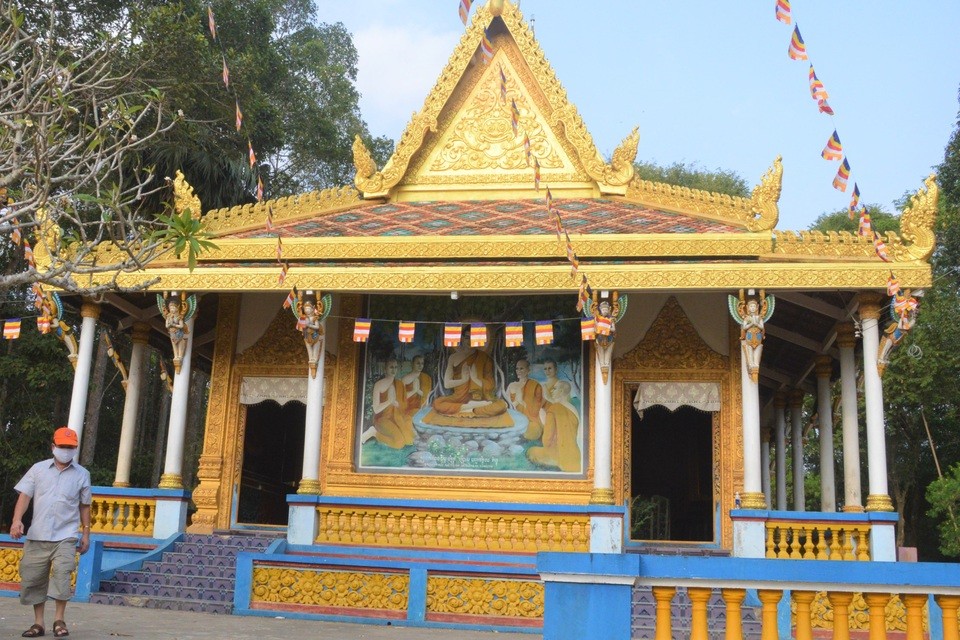 Dơi Đẻ Trứng Hay Đẻ Con? Giải Đáp Chi Tiết Từ Chuyên Gia Dơi Đẻ Trứng Hay Đẻ Con? Giải Đáp Chi Tiết Từ Chuyên Gia
