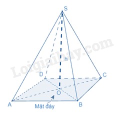 **Trung Quốc Tiến Hành Hiện Đại Hóa và Cải Cách Mở Cửa Từ Năm Nào?**
