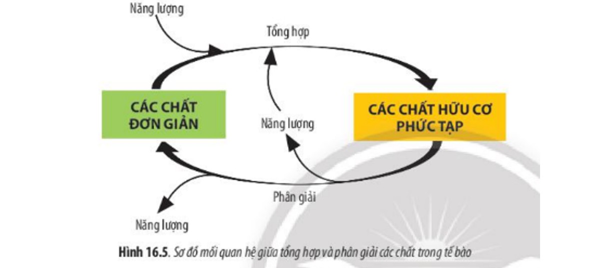 Nhược Điểm Của Mạng Xã Hội: Ảnh Hưởng Tiêu Cực Và Cách Khắc Phục
