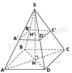 **Trung Quốc Tiến Hành Hiện Đại Hóa và Cải Cách Mở Cửa Từ Năm Nào?**