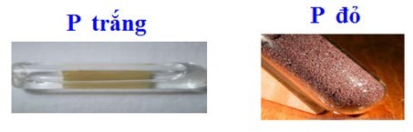Dạng Thù Hình Của Một Nguyên Tố Là Gì? Ví Dụ Chi Tiết Dạng Thù Hình Của Một Nguyên Tố Là Gì? Ví Dụ Chi Tiết