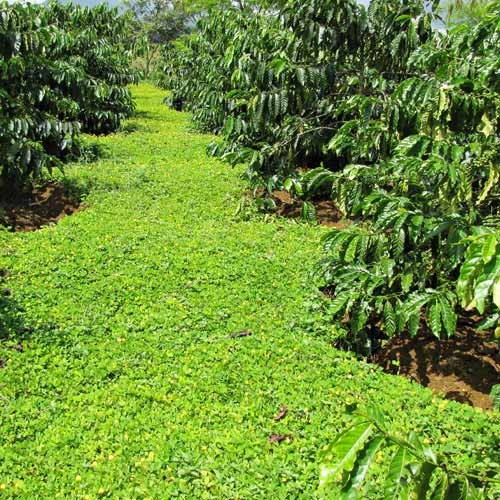 Vì Sao Thất Nghiệp? Phân Tích Toàn Diện Nguyên Nhân &amp; Giải Pháp