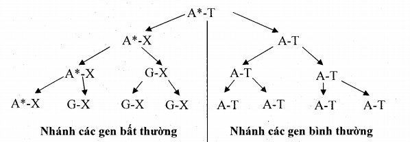 Tác nhân vật lý, hóa học gây đột biến gen