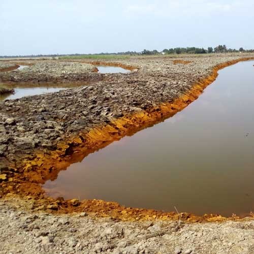 Vì Sao Thất Nghiệp? Phân Tích Toàn Diện Nguyên Nhân &amp; Giải Pháp