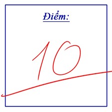 Các loại bài nghị luận xã hội