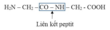 Một Hệ Cơ Sở Dữ Liệu Gồm Những Thành Phần Nào Quan Trọng Nhất?