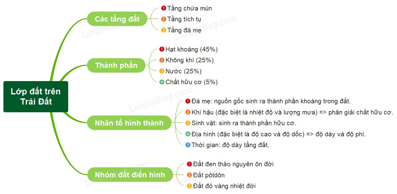 **Báo Cáo Tiếp Theo: Lời Khuyên Của Tôi Là Đi Thẳng Vào Vấn Đề?**