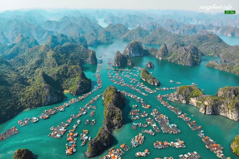 Đặc Điểm Nào Sau Đây Không Đúng Với Biển Đông? Giải Đáp Chi Tiết Đặc Điểm Nào Sau Đây Không Đúng Với Biển Đông? Giải Đáp Chi Tiết
