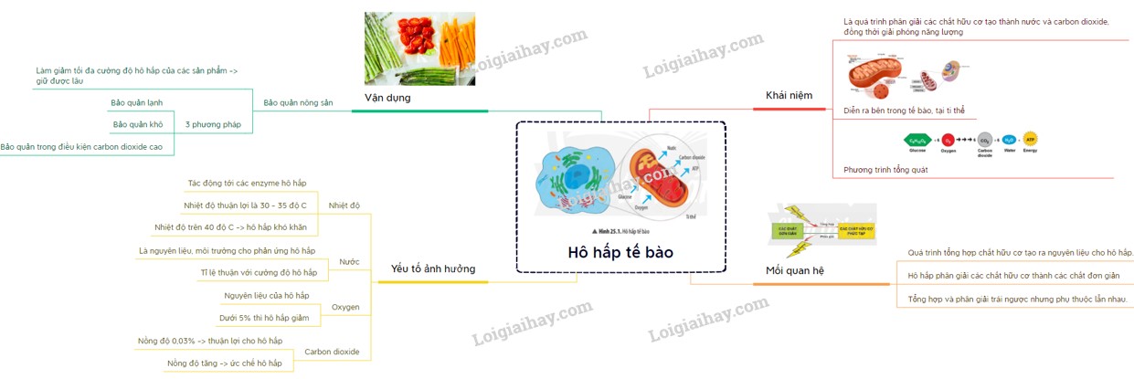 Nhược Điểm Của Mạng Xã Hội: Ảnh Hưởng Tiêu Cực Và Cách Khắc Phục