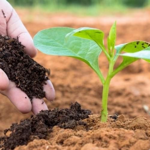 Vì Sao Thất Nghiệp? Phân Tích Toàn Diện Nguyên Nhân &amp; Giải Pháp