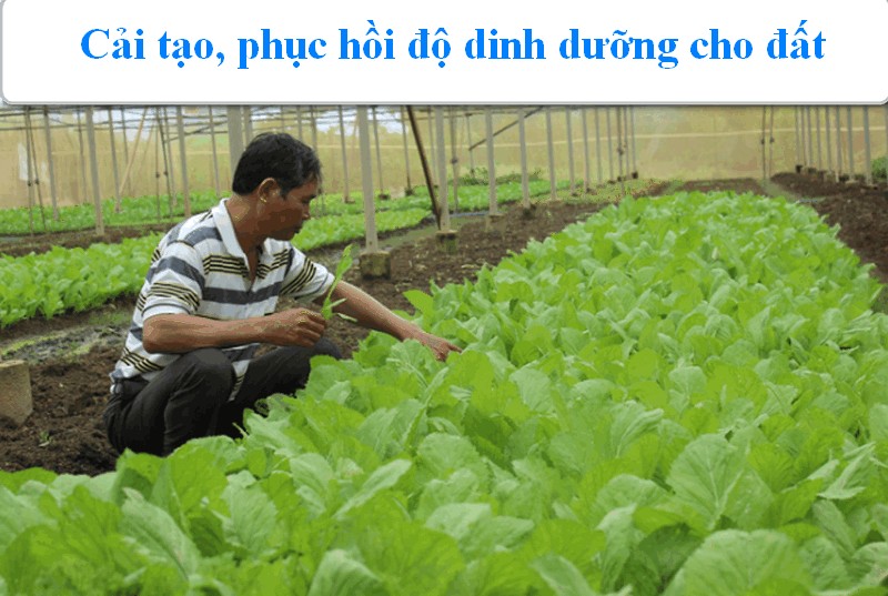 Vì Sao Đông Nam Bộ Có Sức Thu Hút Mạnh Mẽ Với Lao Động Cả Nước?