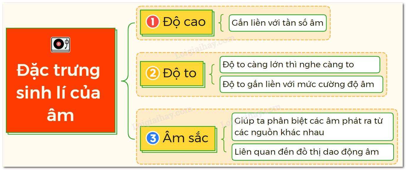 Các Đặc Trưng Sinh Lí Của Âm Là Gì? Giải Thích Chi Tiết Các Đặc Trưng Sinh Lí Của Âm Là Gì? Giải Thích Chi Tiết