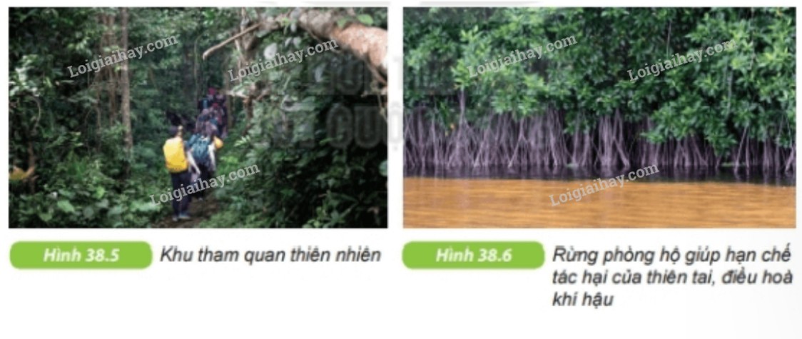 Chất Nào Sau Đây Vừa Phản Ứng KOH Vừa Phản Ứng HCl? Giải Đáp Chi Tiết