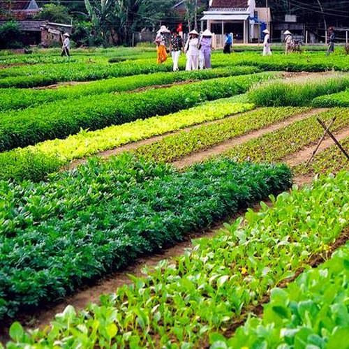 Vì Sao Thất Nghiệp? Phân Tích Toàn Diện Nguyên Nhân &amp; Giải Pháp