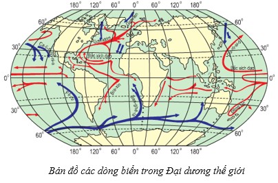 Nước Biển và Đại Dương Có Mấy Sự Vận Động Chính? Giải Đáp Chi Tiết Nước Biển và Đại Dương Có Mấy Sự Vận Động Chính? Giải Đáp Chi Tiết