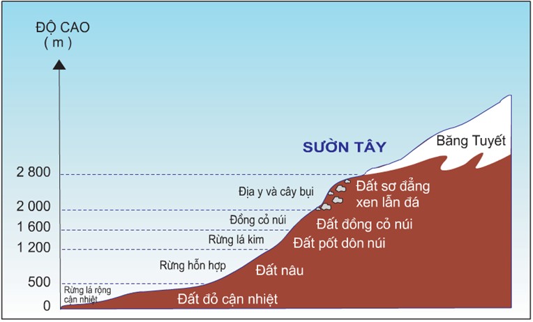 Rừng Hoàng Liên Sơn