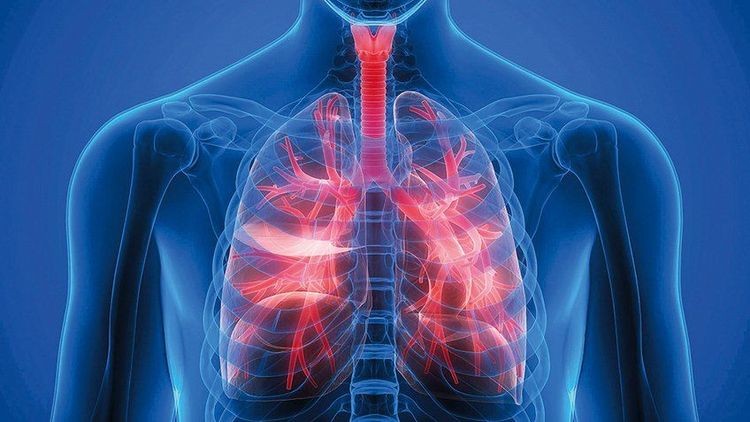 Sản Phẩm Của Hô Hấp Tế Bào Gồm Những Gì? Giải Thích Chi Tiết