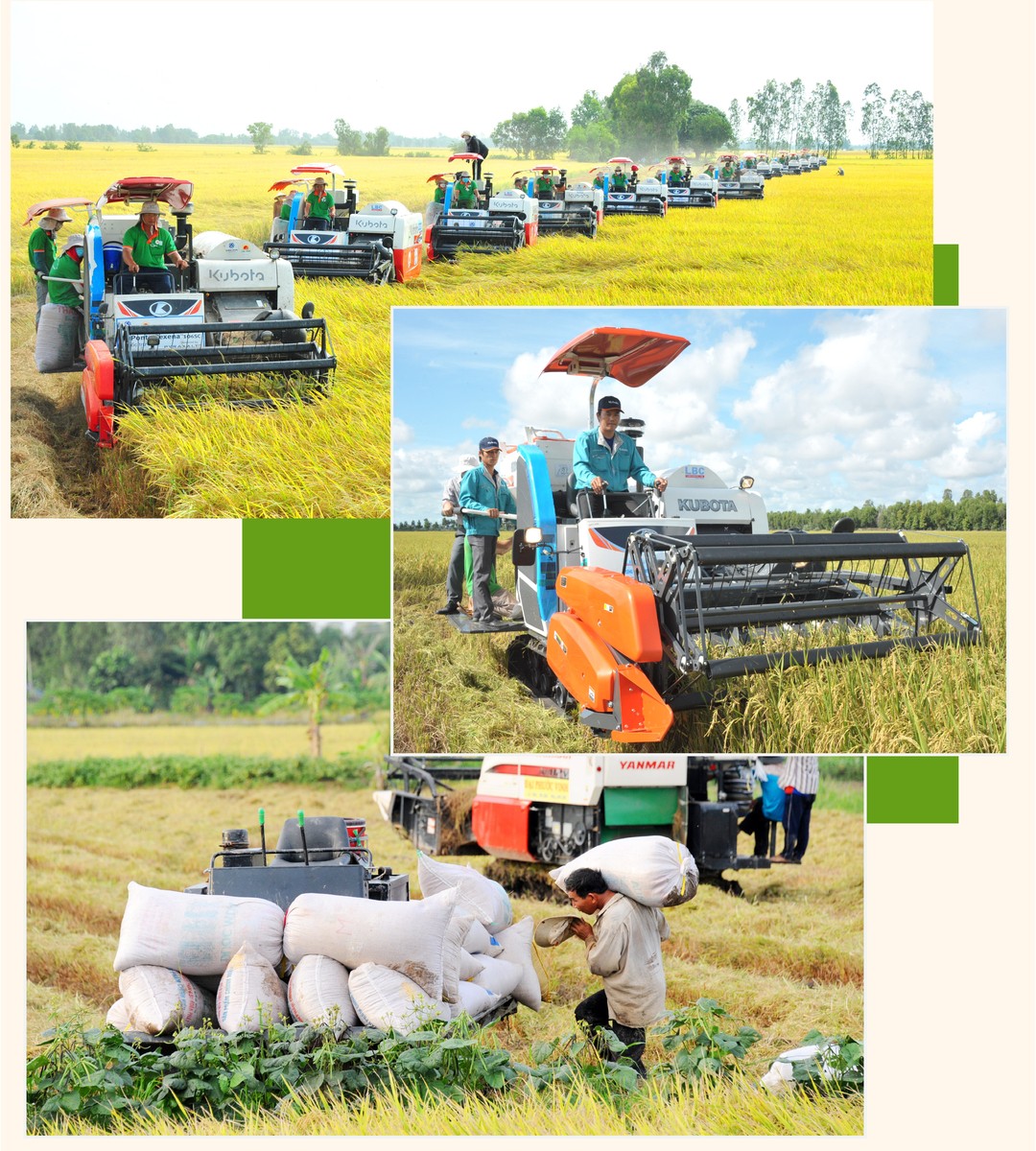 Đặc Điểm Nào Sau Đây Không Phải Là Đặc Điểm Của Nền Kinh Tế Tri Thức?