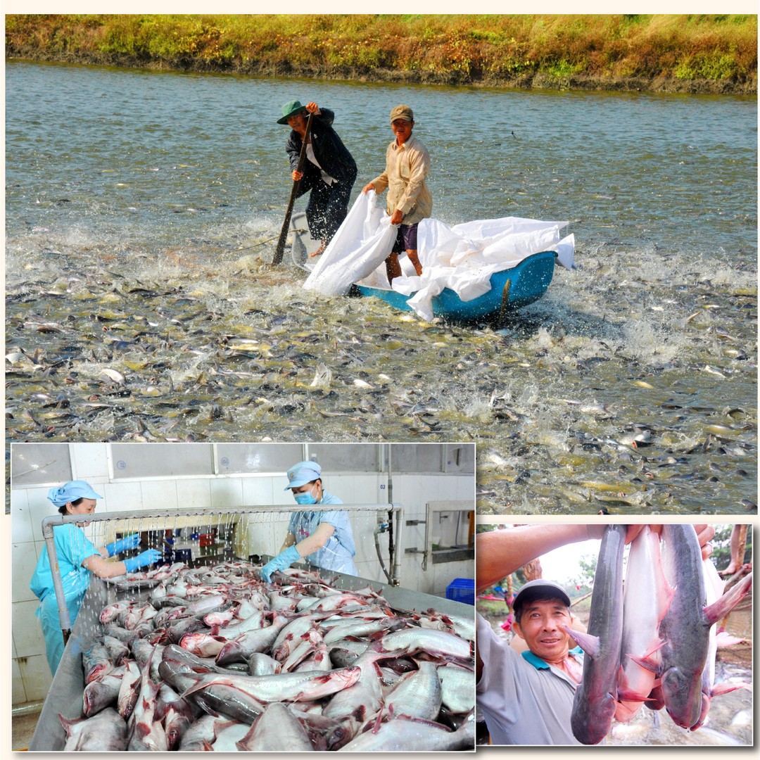 Đặc Điểm Nào Sau Đây Không Phải Là Đặc Điểm Của Nền Kinh Tế Tri Thức?