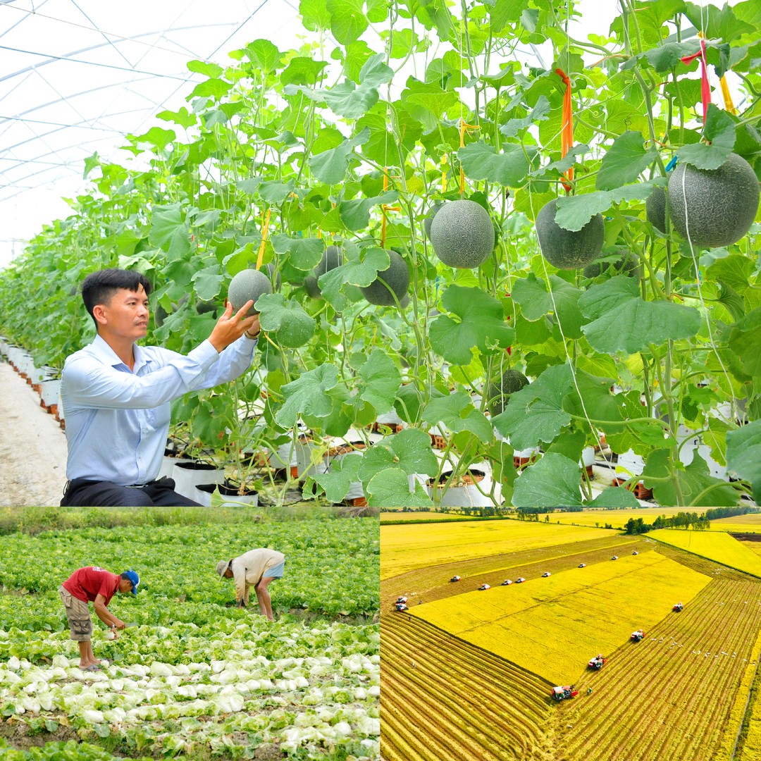 Đặc Điểm Nào Sau Đây Không Phải Là Đặc Điểm Của Nền Kinh Tế Tri Thức?