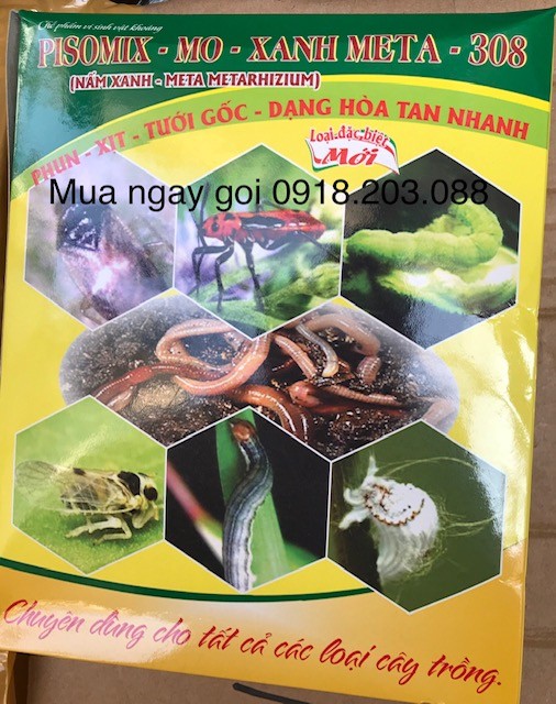 Đâu Là Chế Phẩm Nấm Trừ Bệnh Hiệu Quả Nhất Hiện Nay? Đâu Là Chế Phẩm Nấm Trừ Bệnh Hiệu Quả Nhất Hiện Nay?